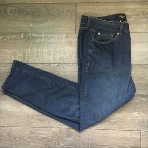 Torrid Denim stretch skinny jean